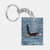 キラークジラ "ジョン・コー" & "アクエリアス" オルカ キーホルダー (正面左)