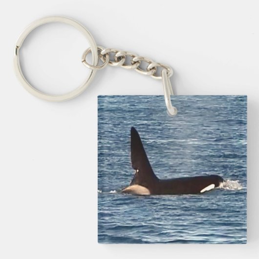 キラークジラ "ジョン・コー" & "アクエリアス" オルカ キーホルダー (正面)