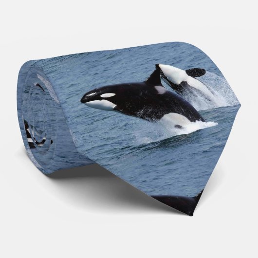 キラークジラ ネクタイ (ロール)