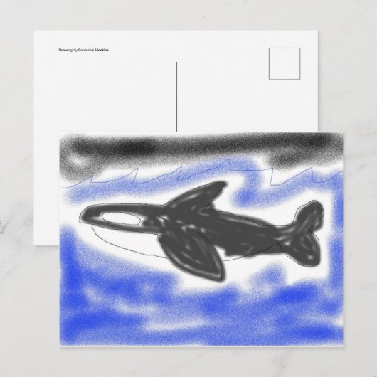キラークジラ ポストカード (正面/裏面)