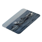 キラークジラ マグネット (左側)