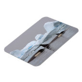 キラークジラ(orcas)、オルシーナス・オルカ、ポッド マグネット (左側)