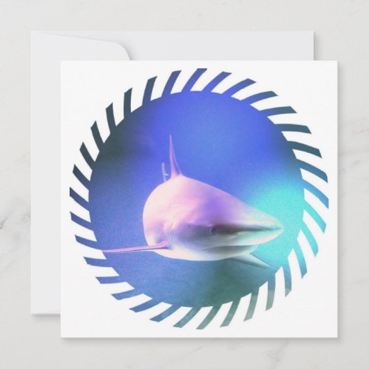 キラーシャークの招待状 招待状 (正面)