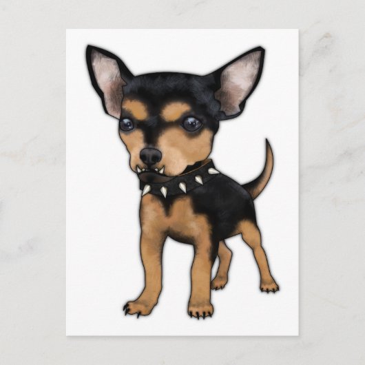 キラーチワワ ポストカード (正面)