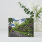 キラーニーへの道 – アイルランド ポストカード (スタンド正面)