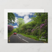 キラーニーへの道 – アイルランド ポストカード (正面/裏面)