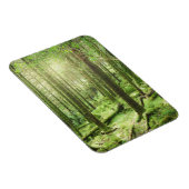 キラーニー国立公園の森 |ケリー，アイルランド マグネット (右側)