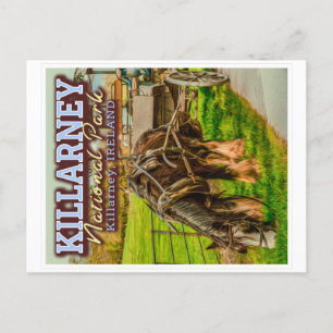 キラーニー国立公園 – KILLARNEY IRELAND ポストカード