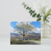 キラーニー湖はがき ポストカード (スタンド正面)