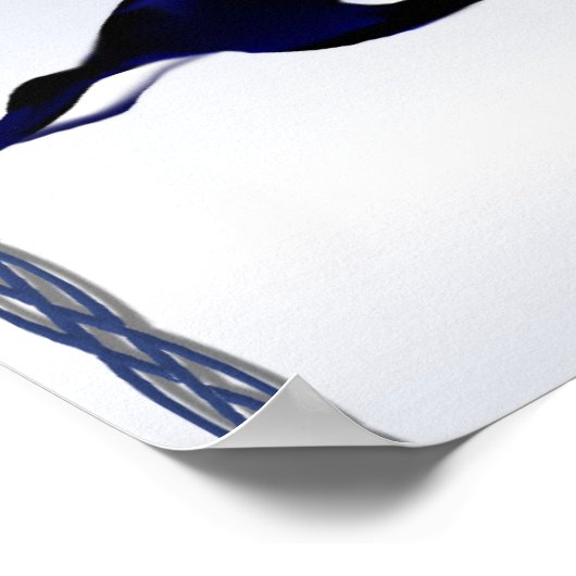 キラーホエールファミリーポスター ポスター (角)