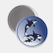 キラーホエールファミリーマグネット マグネット (正面/裏面)