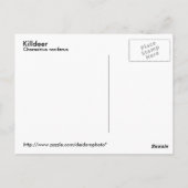 キラー葉書 ポストカード (裏面)