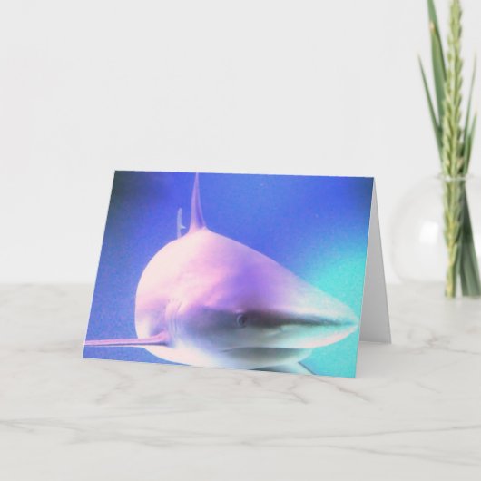 キラー鮫の挨拶状 カード (正面)