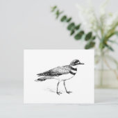 キラー鳥スケッチ ポストカード (スタンド正面)