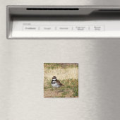 キラー鳥磁石 マグネット (インサイチュ (食洗機))