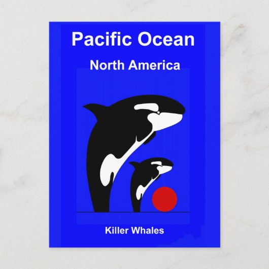 キラー・ウェールズ ポストカード (正面)