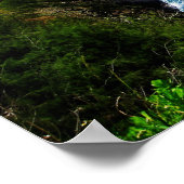 キラ威厳のあるウアプリント ポスター (角)