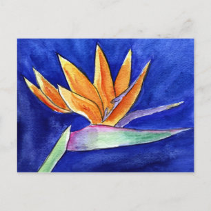 キリギリスハナの花 絵はがき アート ポストカード