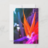 キリギリスラン カラフル 出欠カード (裏面)