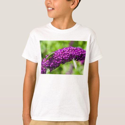 キリギリス エネルギー Tシャツ (正面)