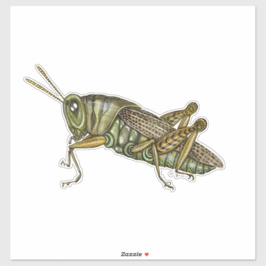 キリギリス シール (シート)