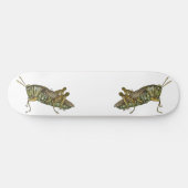 キリギリス スケートボード (横)