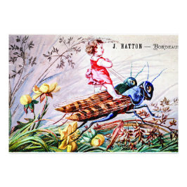 キリギリス フォトプリント           