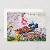 キリギリス ポストカード (正面/裏面)