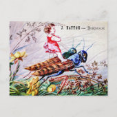 キリギリス ポストカード (正面)