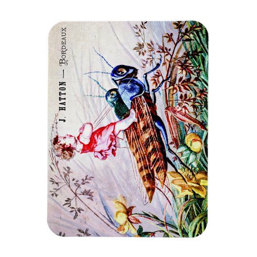 キリギリス マグネット (縦)