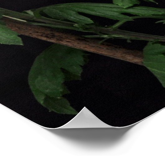 キリストと共にはりつけになった ポスター (角)