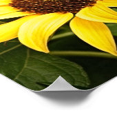 キリストの平和がポスターを支配する ポスター (角)