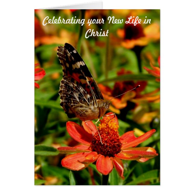 キリストの新しい生命 (正面)