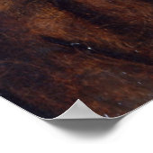 キリストの頭 – Petrous Christus - c1445 ポスター (角)