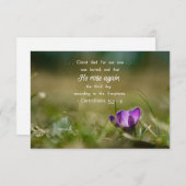 キリストバラ再びクロッカスカード サンキューカード (正面/裏面)