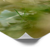 キリストバラ再びクロッカスポスター ポスター (角)