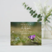 キリストバラ再びクロッカスポストカード ポストカード (スタンド正面)