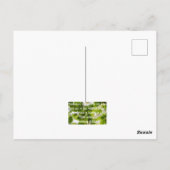 キリスト感動的教徒の引用文 ポストカード (裏面)