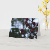 キリスト教の共感カード詩篇バイブル聖句 カード (黄色い花)