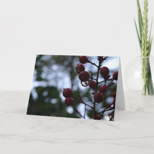 キリスト教の共感カード詩篇バイブル聖句 カード (正面)