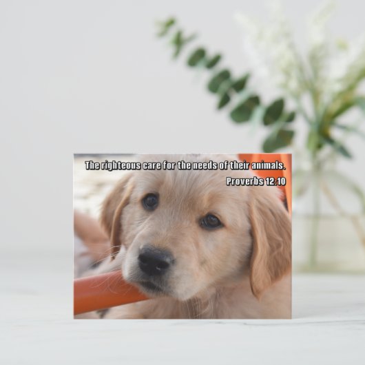 キリスト教の子犬ポストカード ポストカード (スタンド正面)