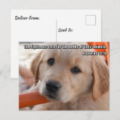 キリスト教の子犬ポストカード ポストカード (正面/裏面)