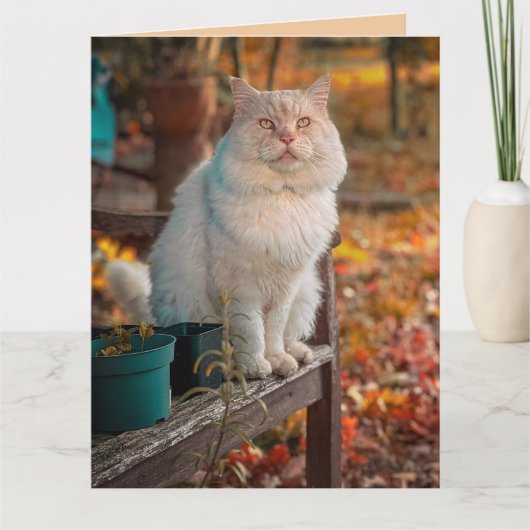 キリスト教の猫があなたを想っています フィリピ 1:3 カード (正面)