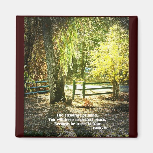 キリスト教聖書聖句聖なる書物、 経典創造論 マグネット (正面)