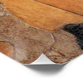 キリスト正教会のキリスト教の象徴のバプテスマ ポスター (コーナー)