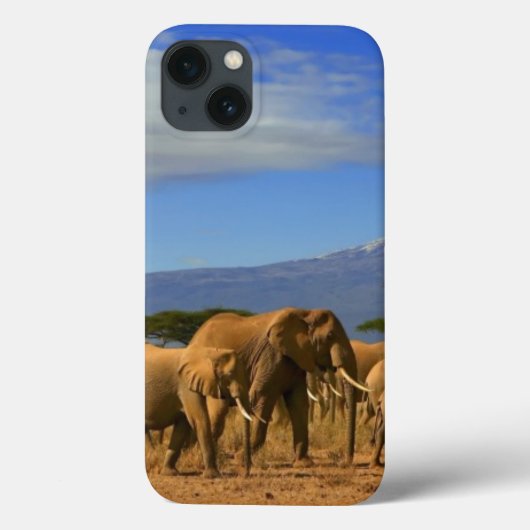 キリマンジャロとゾウ Case-Mate iPhoneケース (裏面)
