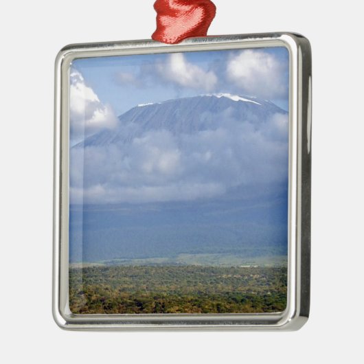 キリマンジャロタンザニアの陸標の景色 メタルオーナメント (左)
