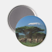 キリマンジャロ山のエルファント マグネット (正面/裏面)