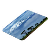 キリマンジャロ・ケニア マグネット (左側)