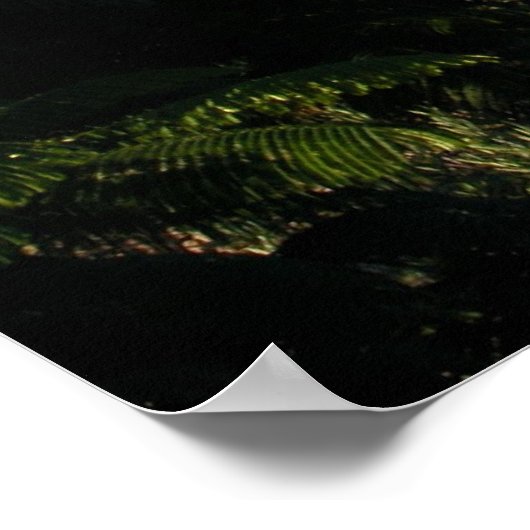 キリマンジャロ ポスター (角)